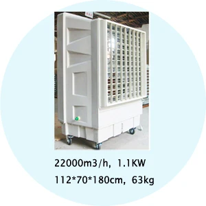 22000a.jpg