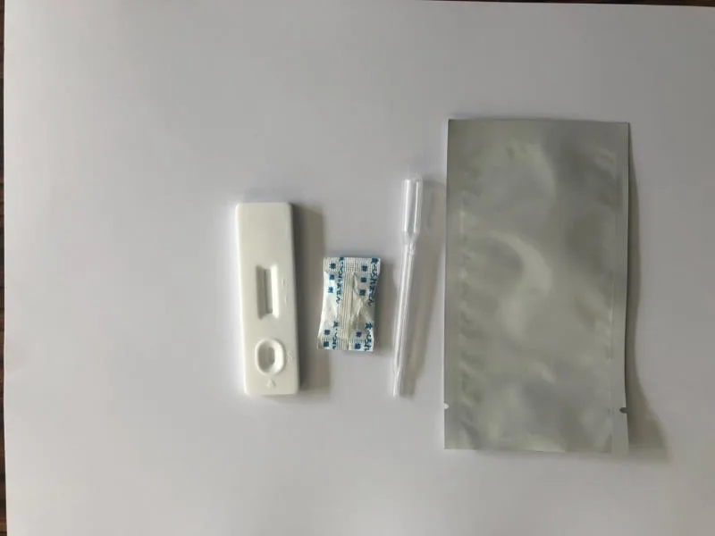 
Testsealabs Hot Sales One Step Rapid Test Brucellosis IgG/IgM Test Cassette Brucella rapid Diagnostic Test Kit 