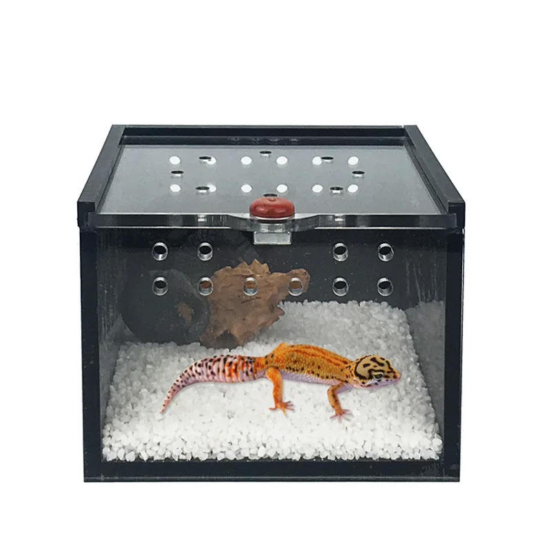 

Hot wholesale amazon to buy factory reptile box acrylic Lizard reptile cage, Black, transparent, egg white, orange