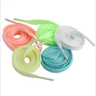 Factory Direct Sale Luminous Flat Shoelaces Custom Polyester Boards Leisure Sports Light Up Bulk Shoes Laces
