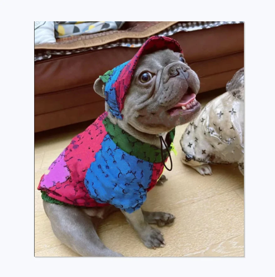 

Luxury Brand Design Cute Denim Multicolor Stitching New Letter G Design Dog Zipper Jacket Pet Apparel