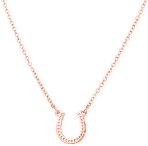 

Lucky Horseshoe Pendant Necklace Adjustable U Shape Necklace for Women