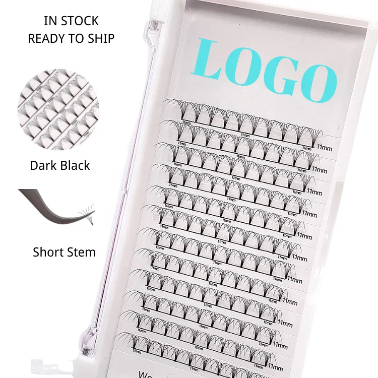 

In stock Fan Eyelashes Super black premade volume fans 3D 4D 5D 6D Jumpo trays eyelash extension premade fans