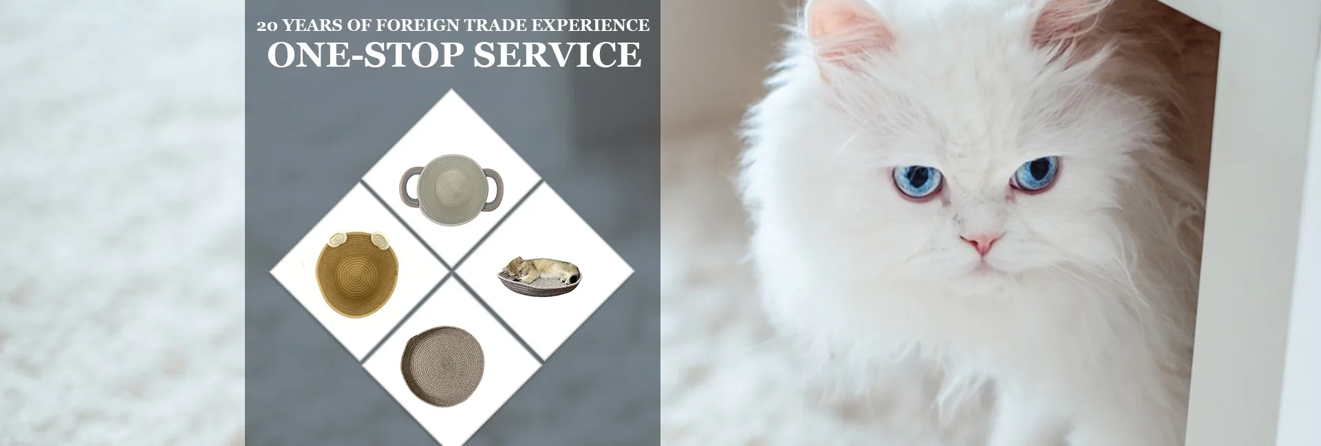 Huizhou Chongai Youjia Co., Ltd. pet products, Kitchen