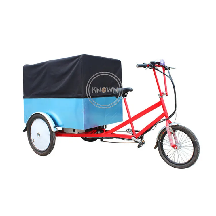 

CE Approved 3 Wheel Cargo Bike with Front Loading Customized Adult Electric Tricycle with Rain Cover