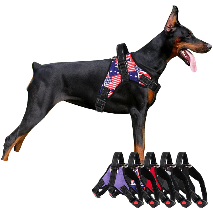 

Amazon Best Seller Adjustable Reflective No Pull Pet Dog Harness with Handle, Red/blue/black