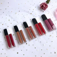 

2020 cosmetics matte lipstick no brand logo creamy lip stick