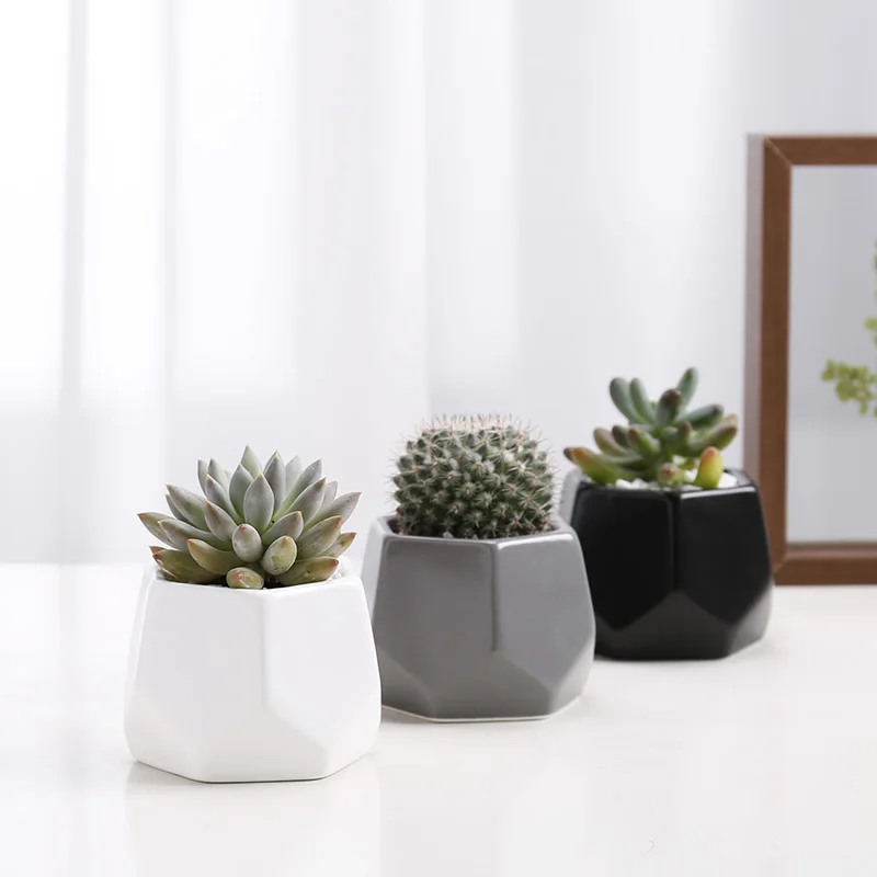 Nordic style indoor white ceramic hexagon small succulent plant pots cactus pots