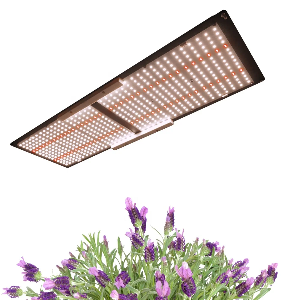 

Maaadro Lm301h Samsung Lm301b 240w Board Red Led Grow Light Full Stage Plants IR 660nm Aluminum 48v 80 IP65 Meanwell Driver 2.9