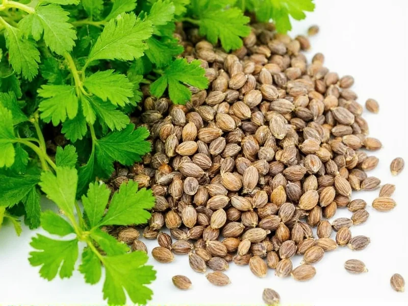 Coriander vs Coriander Seeds: Same Plant, Different Forms