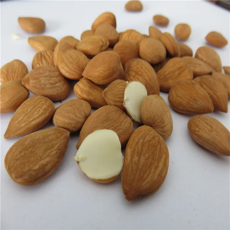 
100% Dried Apricot Kernel 