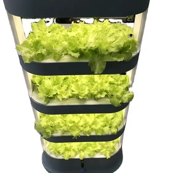 

Automatic Home Best Indoor hydroponic control growing systems 5 layers vertical hydroponic system kit for leafy plants lettuce