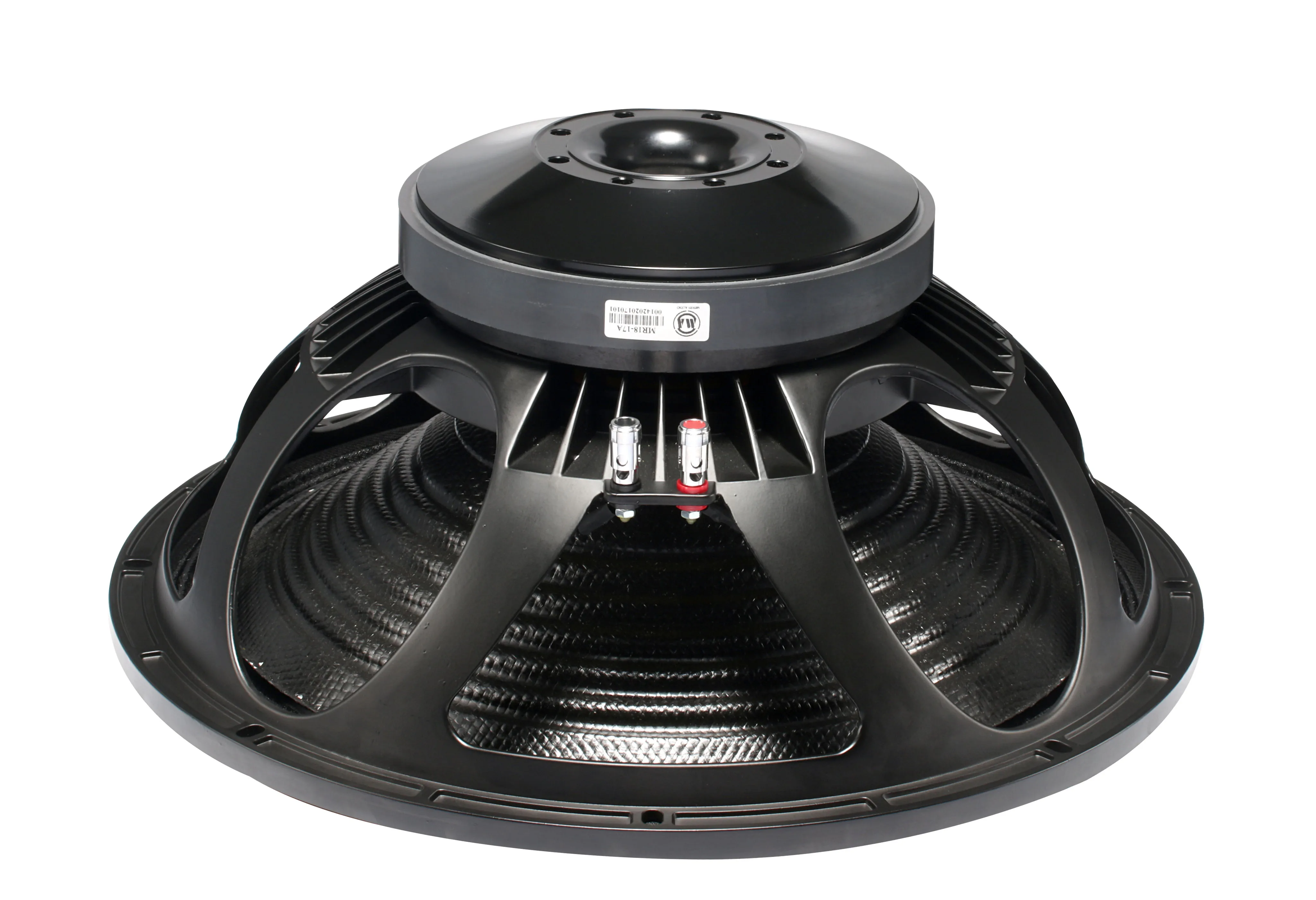 speaker 18 inch 800 watt