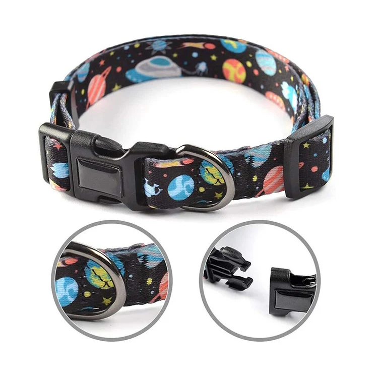 Dog collar leashes-9