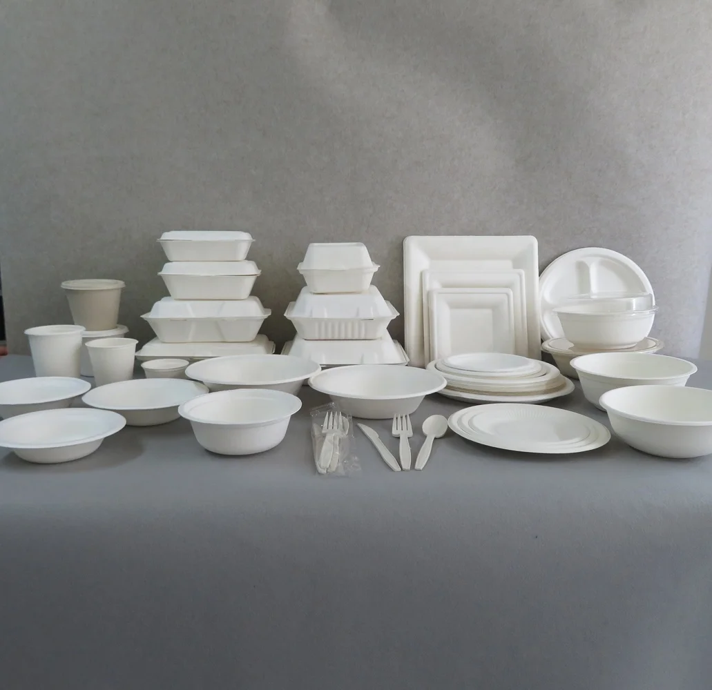 

Eco-friendly Biodegradable Disposable Bagasse Dinnerware Set