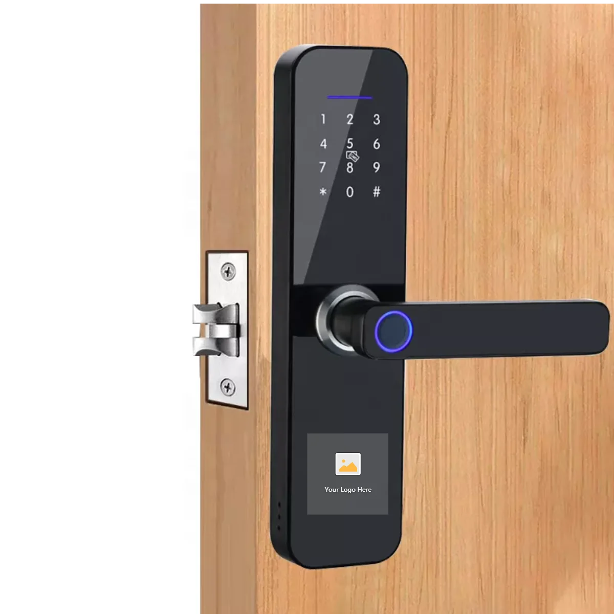 alexa door security