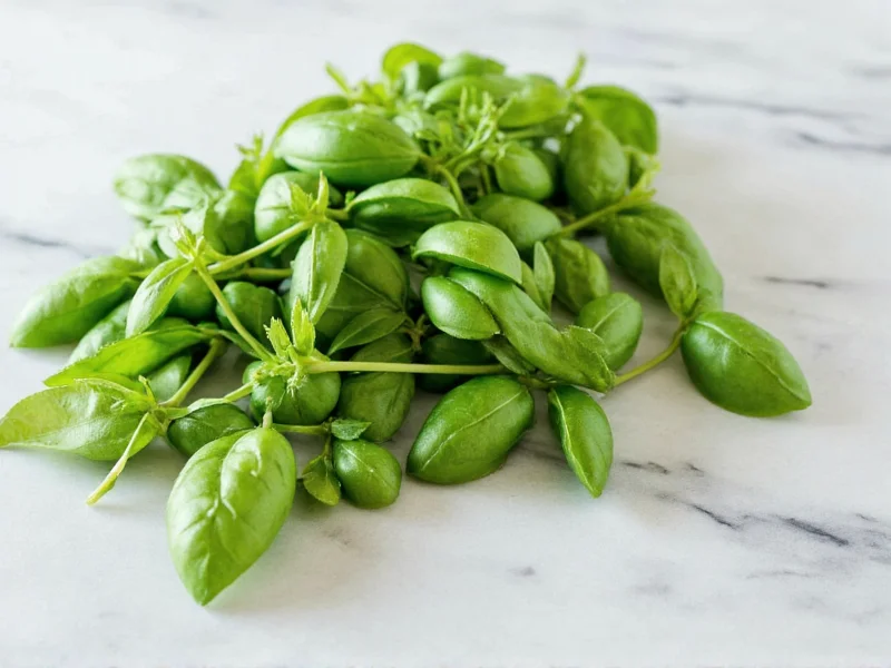 Basil Fresh to Dry Conversion: Exact Measurements & Tips