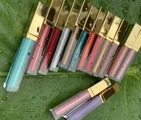 

Waterproof Hot Sexy Colors Private Label Creamy Shimmer Lip Gloss Makeup Custom Glitter Lipgloss Wholesale