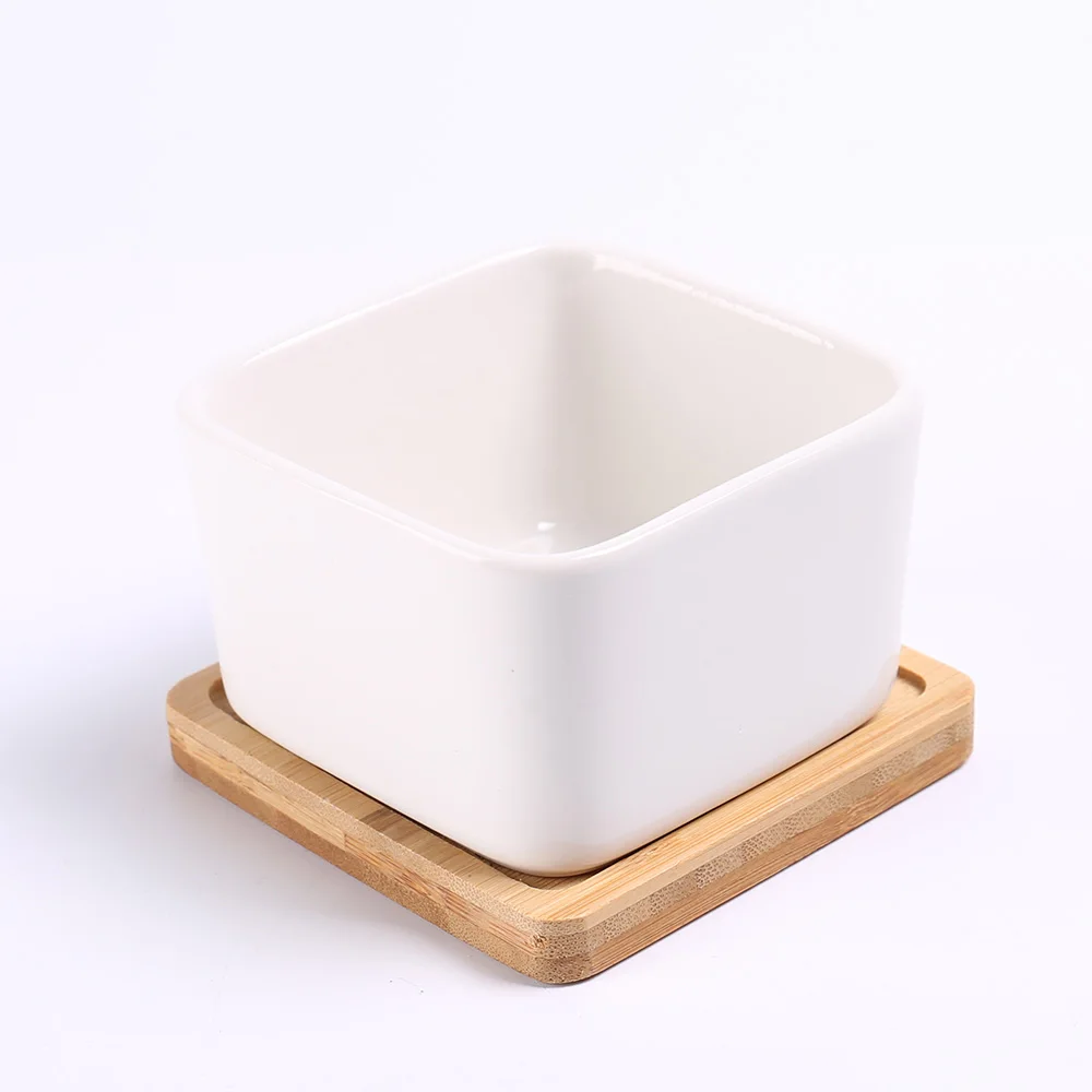 最畅销的室内白色陶瓷方形小盆植物与竹基地批发