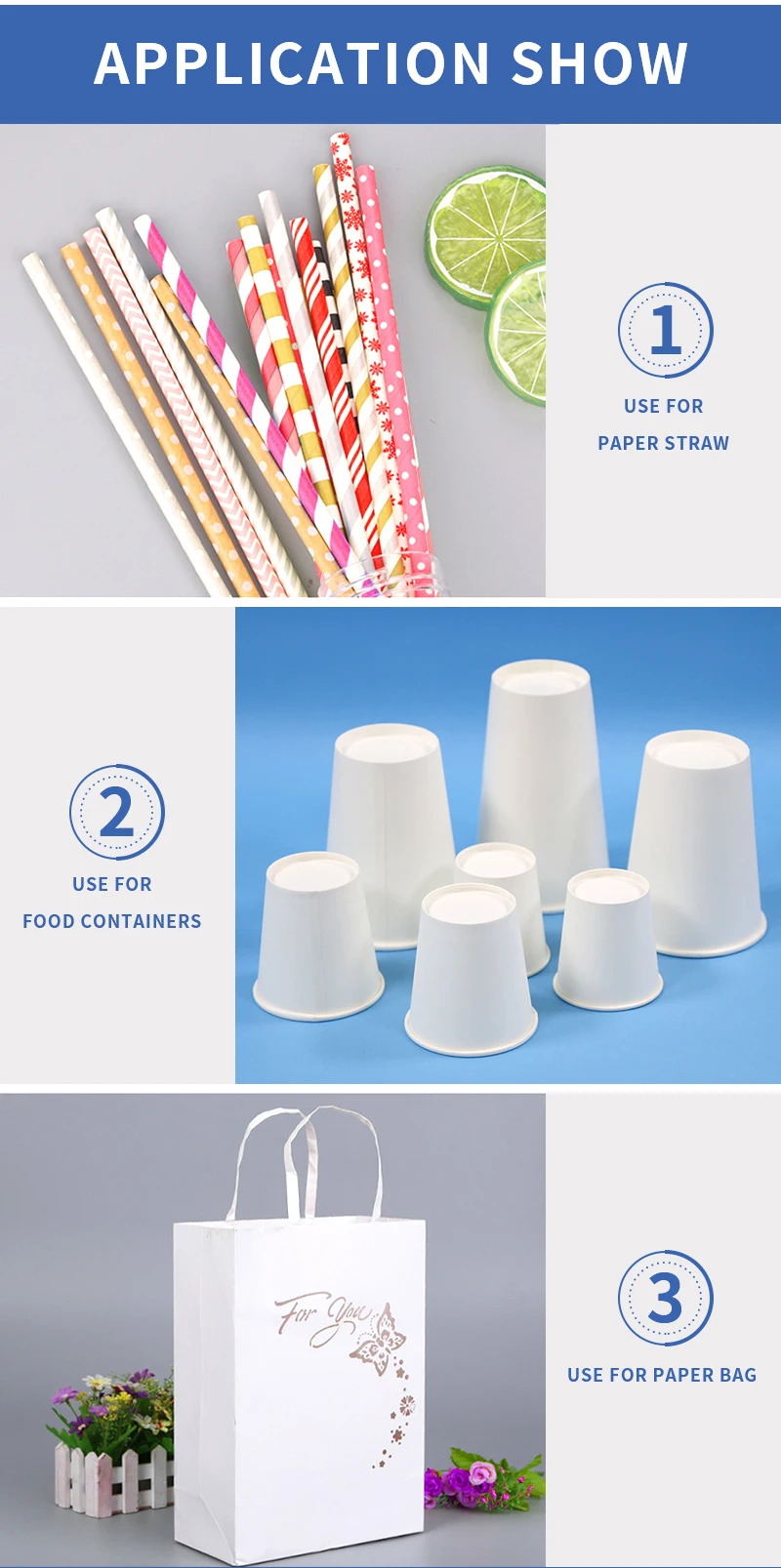 4 Paper Plate Material.jpg