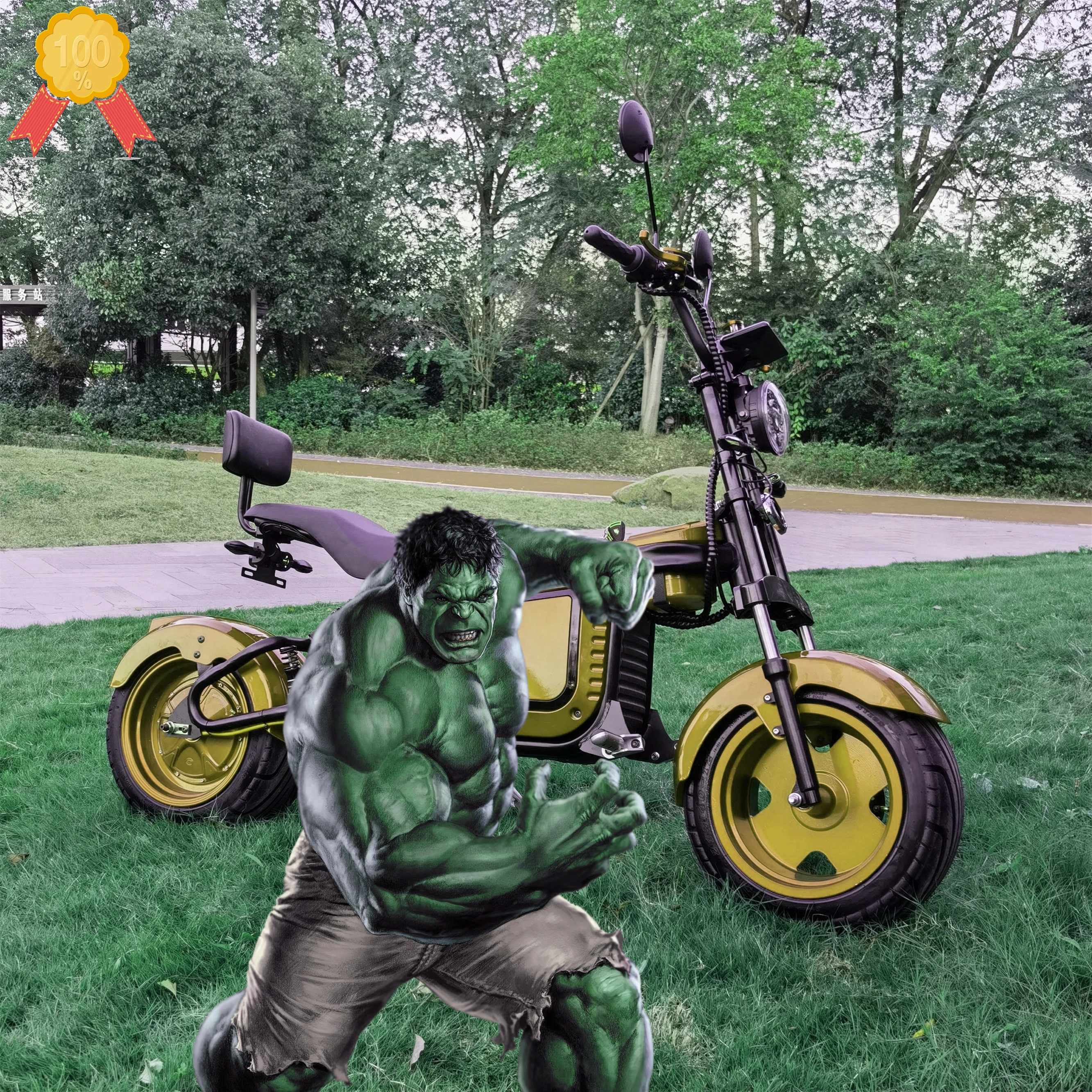 

1000W Double Set Battery Big Wheel China New Car Electric Scooter