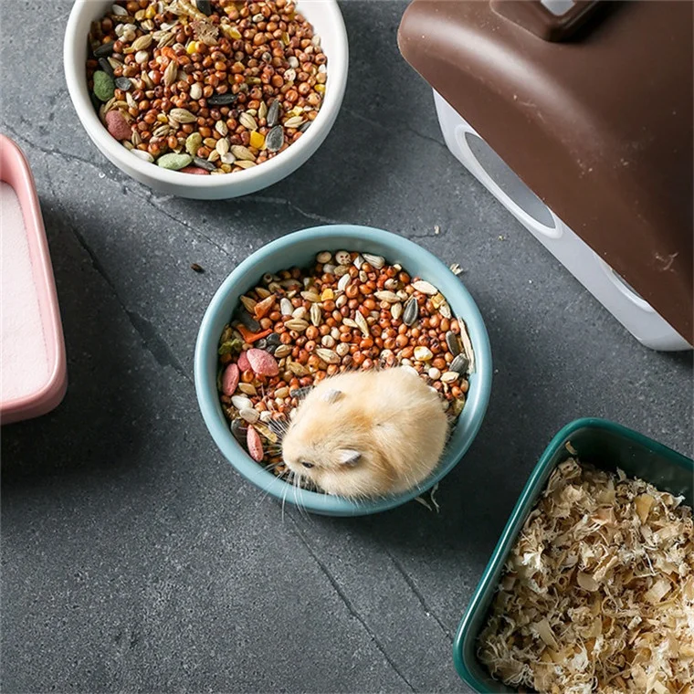 

2021 new product pet bowl ceramic food rat bowl easy to clean multicolor square round bowl