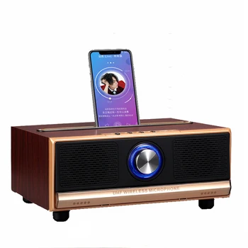 speaker with two microphones