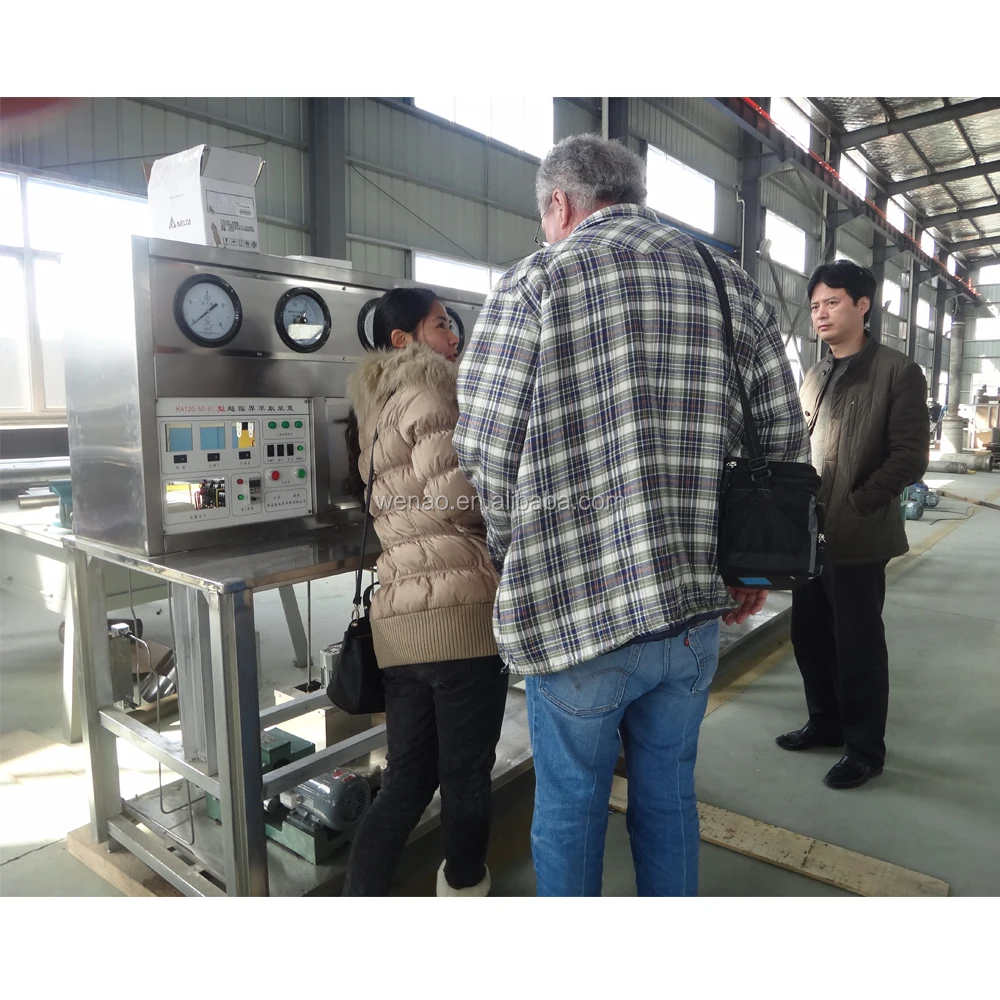 
SFE 220-50-6L Supercritical CO2 Fluid Extraction Equipment 