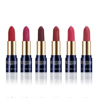 

LCHEAR DQ1152 Cosmetics Matte Lipstick 12 colors 24pcs/ pack in stock lipstick