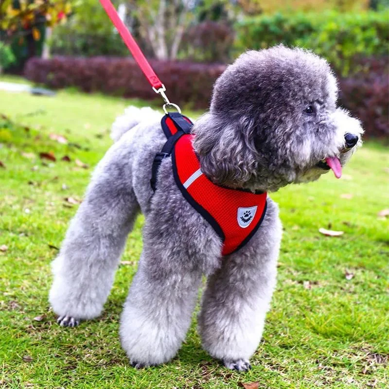 

New Popular Luxury Pet Harness Leash Set For Small Dog, Blue,red,black,pink,orange,dark blue