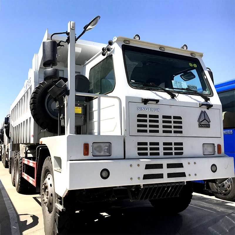 5.4.1 Cargo Truck_HOWO_1.JPG