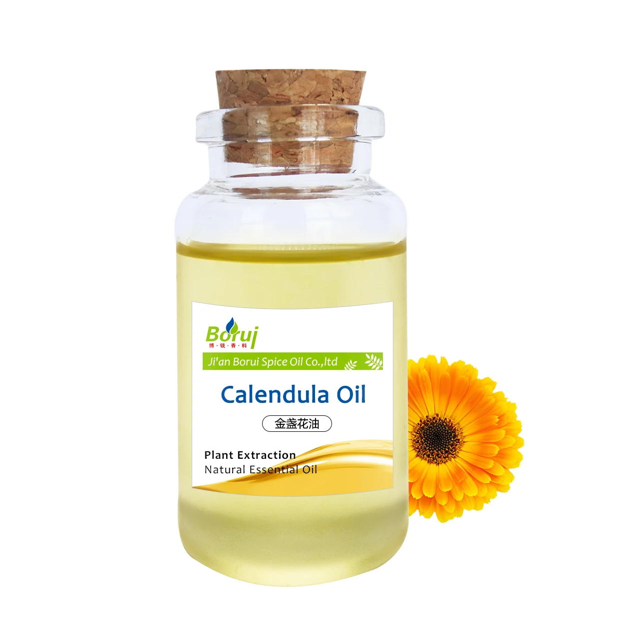 

Bulk Wholesale Price Wild Marigold Essental Oil Pure Natural Organic Calendula Oil