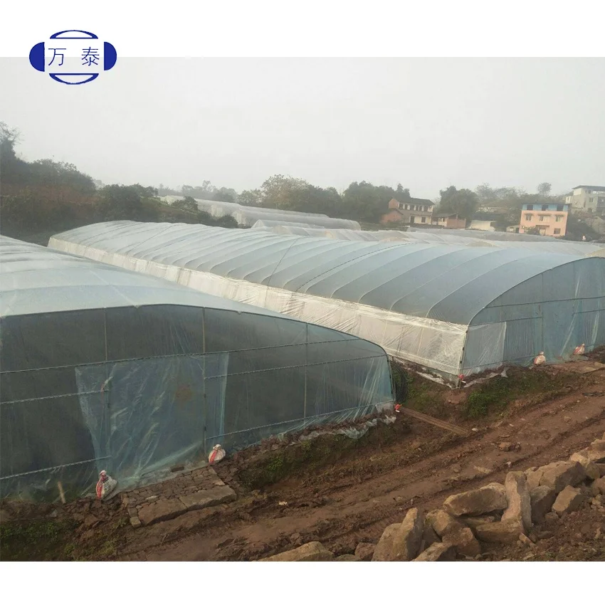 
China factory eco friendly Light conversion film uv reflective film for agricultural greenhouse 