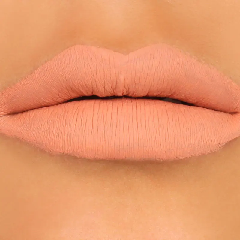 

Vegan matte makeup shop waterproof nude color liquid cosmetic lipstick