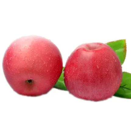
The farm exports a large number of fresh apples Qinguan apples, which are of high quality and low price 