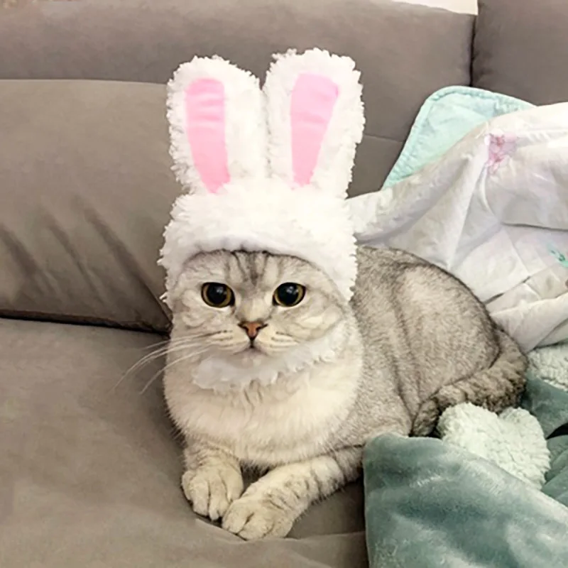 

Wholesale Creative Modeling Cute Pet Rabbit Ear Cross-Dressing Cat Headwear Premium Plush Bunny Rabbit Ears, As picture