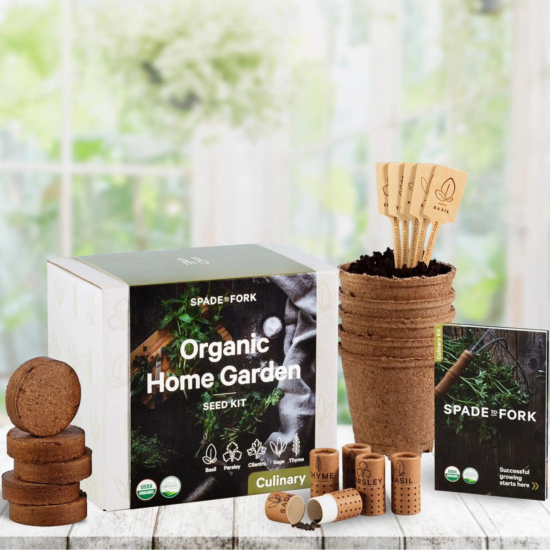 
Bonsai Starter Kit- DIY Indoor Bonsai Tree Seeds-Includes Pots Seeds Soil Pellets Markers Instruction Booklet Beginner Friendly 