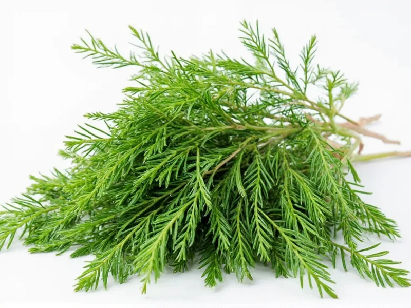 Best Substitutes for Dill Seeds: Practical Alternatives