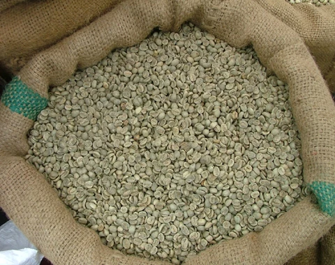 
Premium Unroasted Arabica Coffee from Son La Viet Nam 