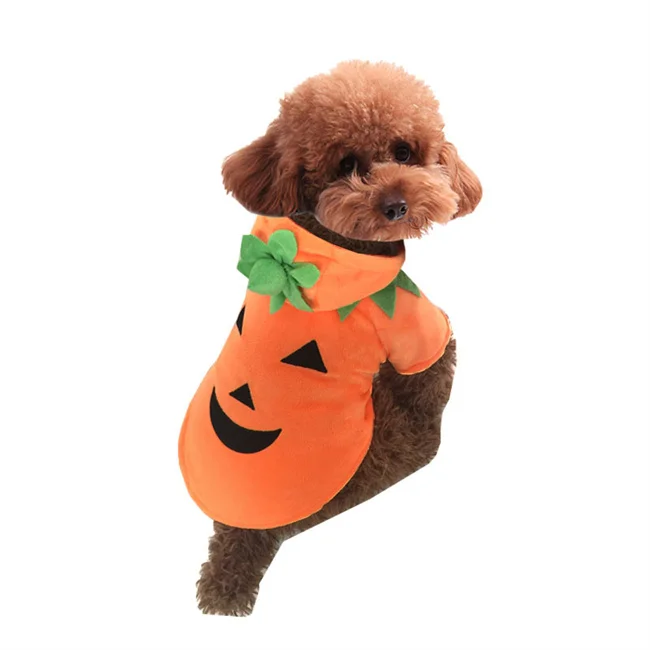 

Hot Sale Costume Clothes Fashion Cheap Cat Puppy Cloth Luxury Cloth Dog Halloween Dog Clothes, Orange