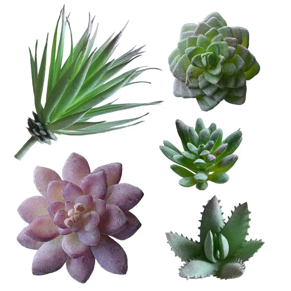 

5 PCS Artificial Succulent Plants Unpotted, Purple