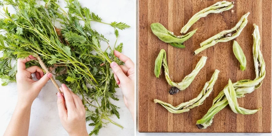 Fresh vs dried chives comparison