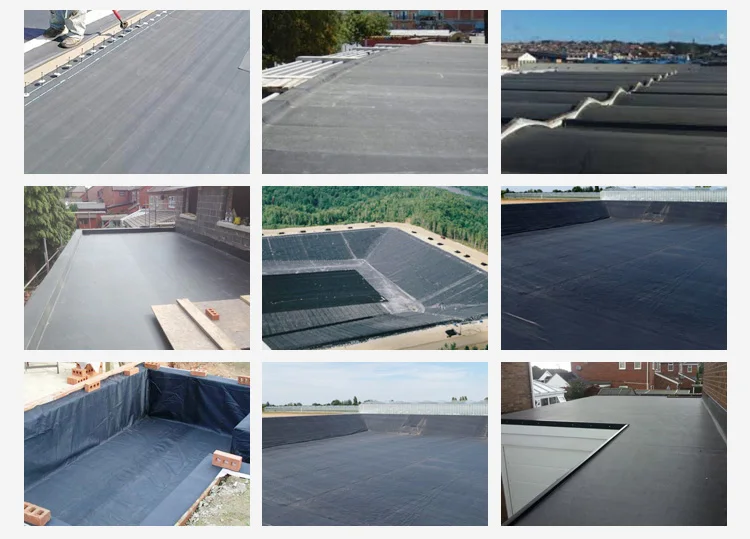 4-epdm(3)_15.jpg