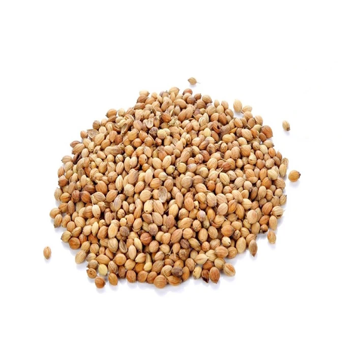 
Bulk Coriander Seed In Best Wholesale Price 