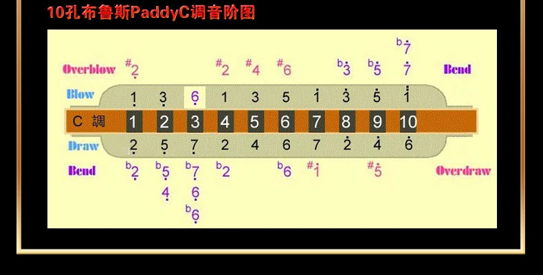harmonica 10 hole easttop