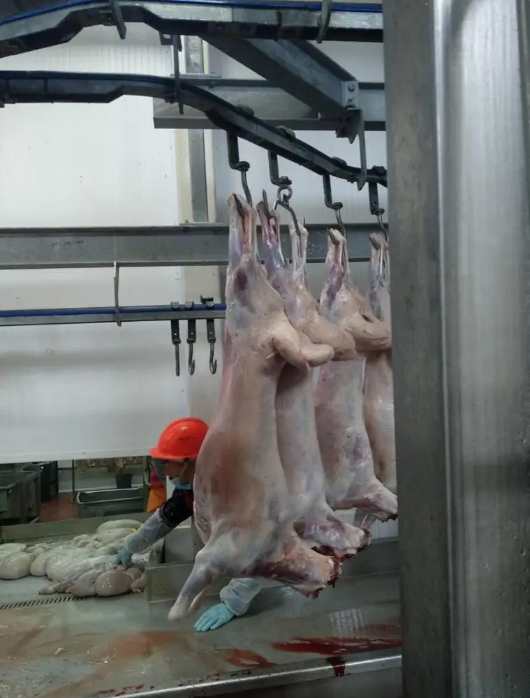 
Chilled meat halal 