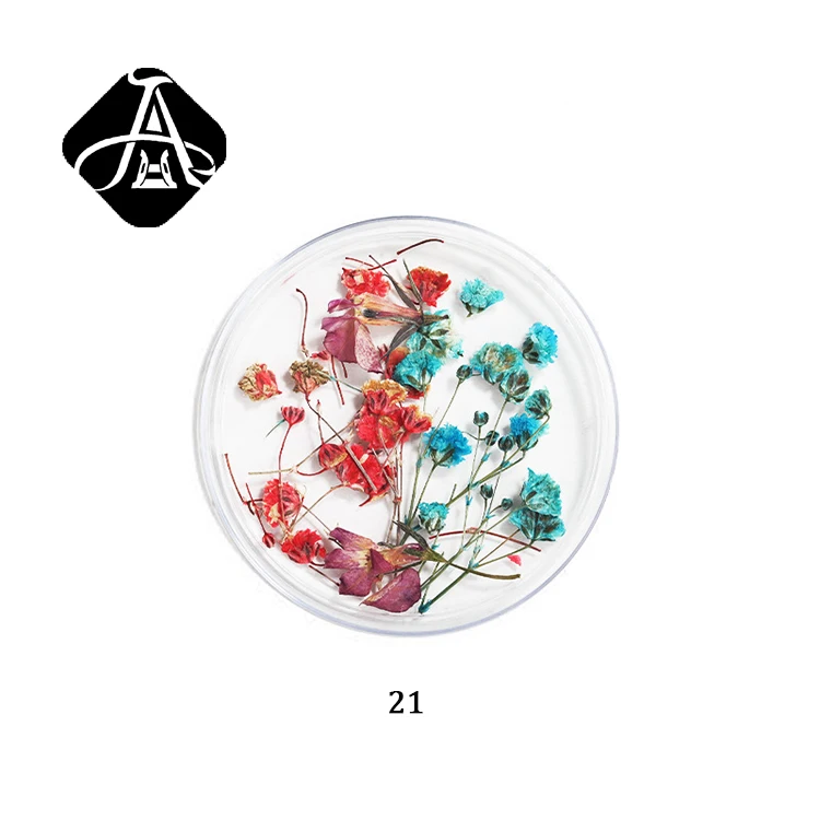 

AH Amazon Best Seller Dry flowers Natural Mixed Dried Flowers For Resin Nail Phne Case DIy Material, 22designs