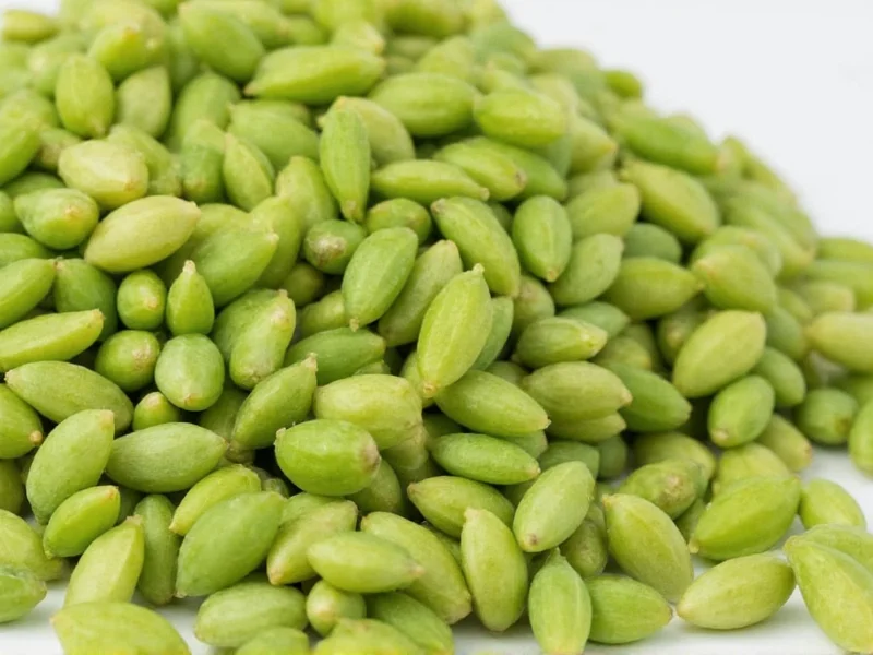 Celery Seeds Taste Profile: Earthy, Bitter & Peppery Notes