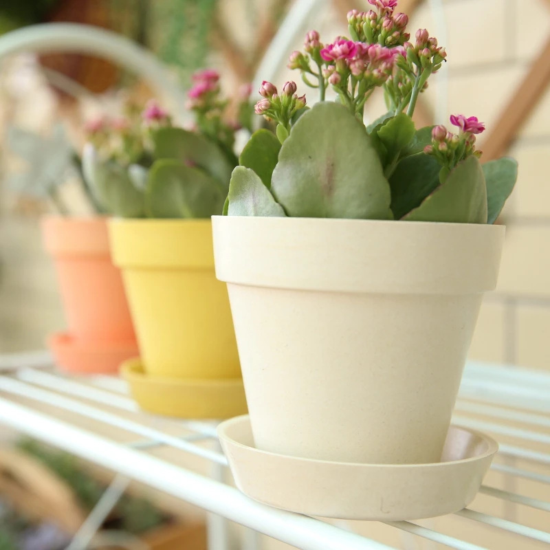 

Pink Yellow White Eco-friendly Decompose Bamboo Fiber Biodegradable Wholesale Plant Pots, Picture shows