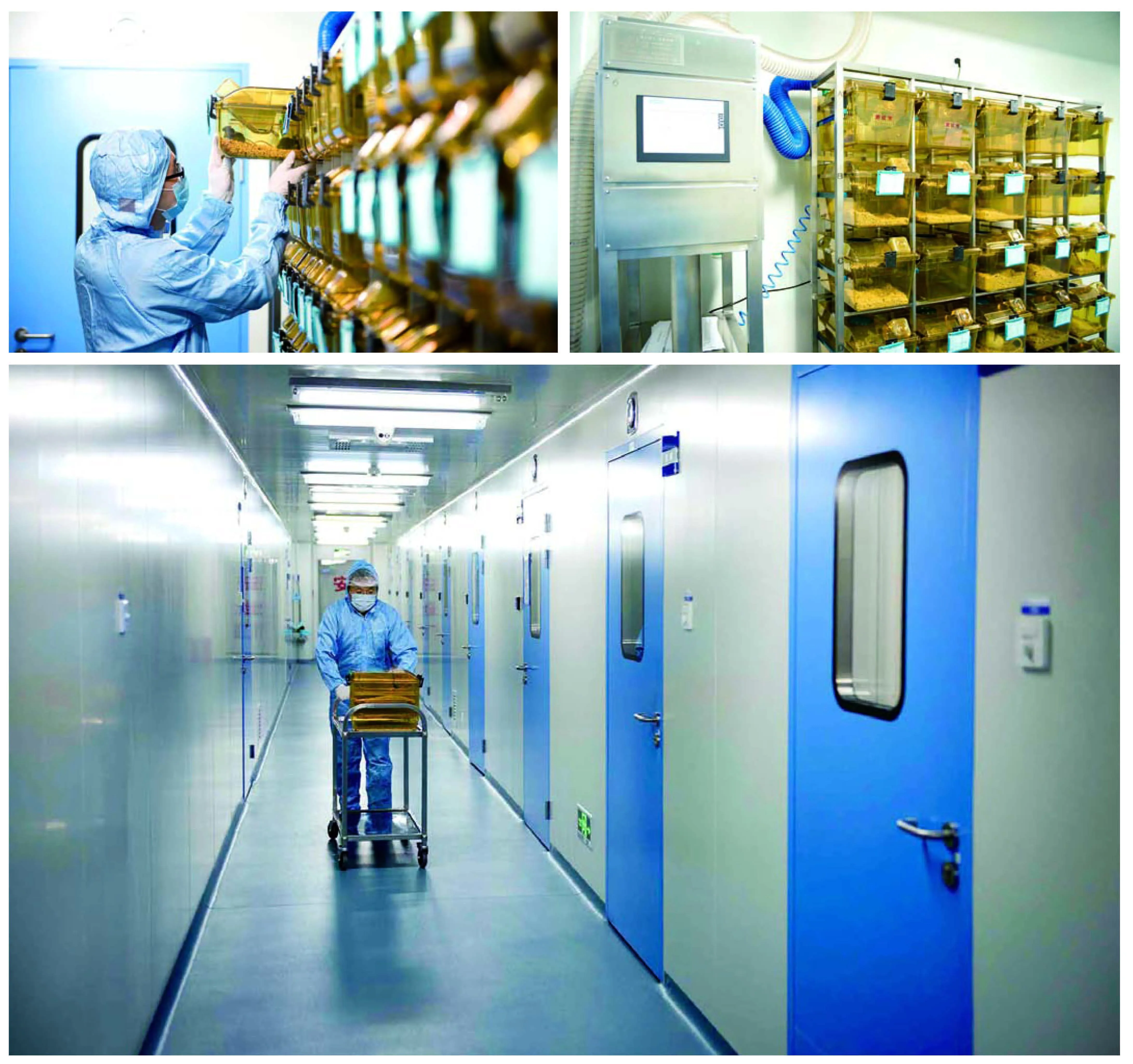 Food Safety Testing Laboratory System Buy Laboratories Equipment